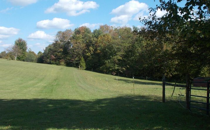 25ac Pigeon Roost Road, Washington Twp