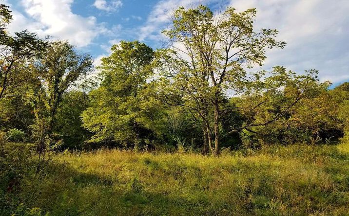 71ac Keesee Road, Vinton