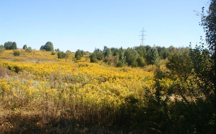 5.37ac Mt Pleasant Road, Lawrenceburg