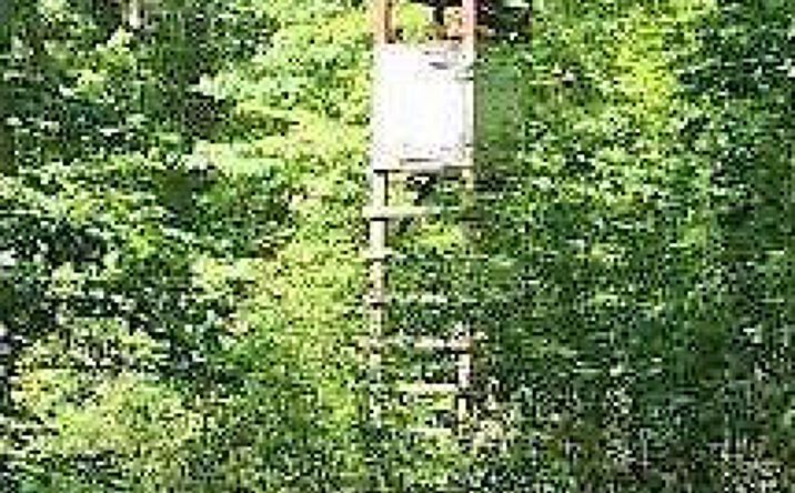 54.76ac N County Line Road, Sunman