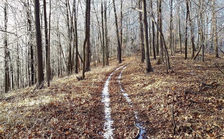 73.057ac Anderson Hill Road, Brushcreek Twp