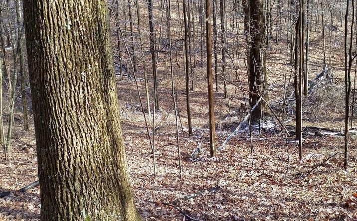 Anderson Hill Road, Brushcreek Twp
