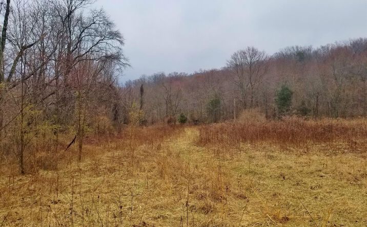 Elmville Road, Brushcreek Twp