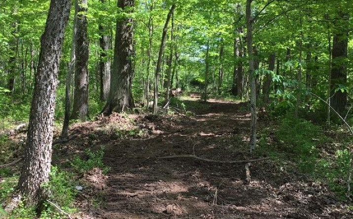 44.8ac Bear Creek Road, Washington Twp