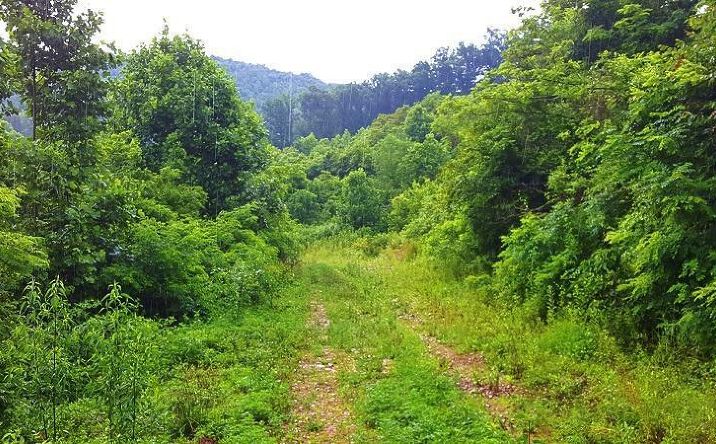 ac St Rt 348, Brushcreek Twp