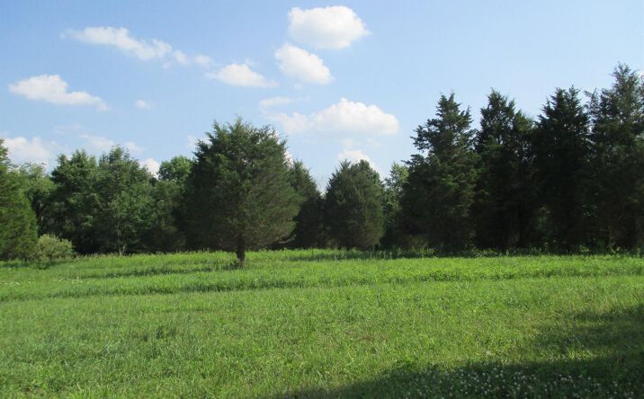 Mt Tabor Road, Aurora