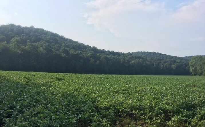 95.99ac Morgan Fork Road, Benton Twp