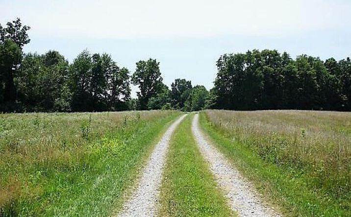 Goff Lane, Moores Hill