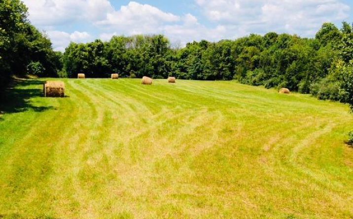24ac Utter Road, Washington Twp