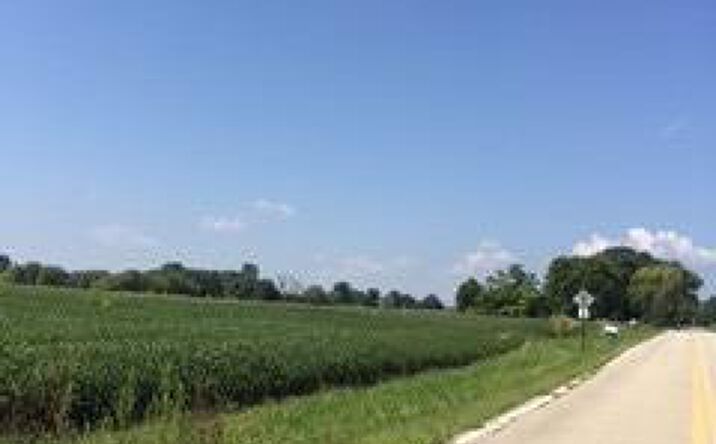 Brimstone Road, Chester Twp