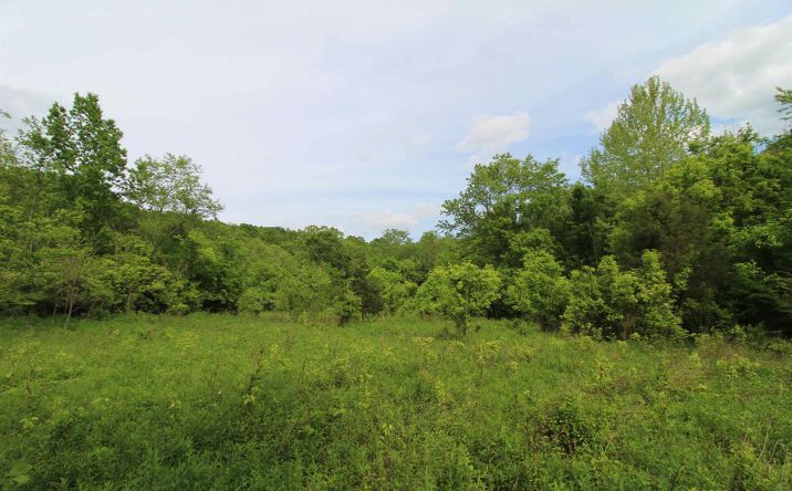 Bear Creek Road, Washington Twp