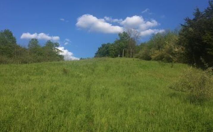Wolf Creek Road, Brookville