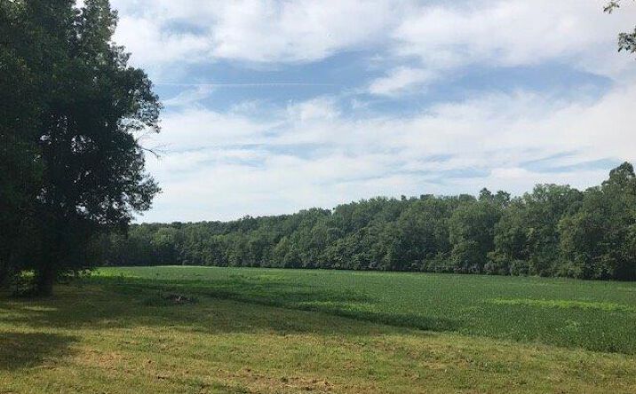 Mill Road, Caesarscreek Twp