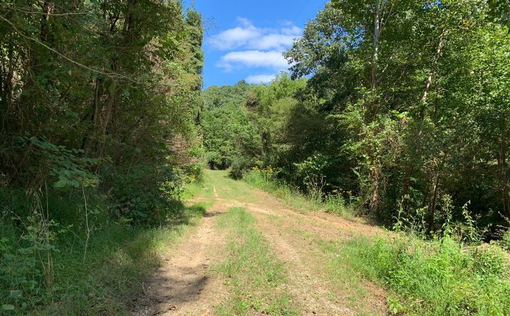 40ac Hay Hollow Road, Jackson Twp