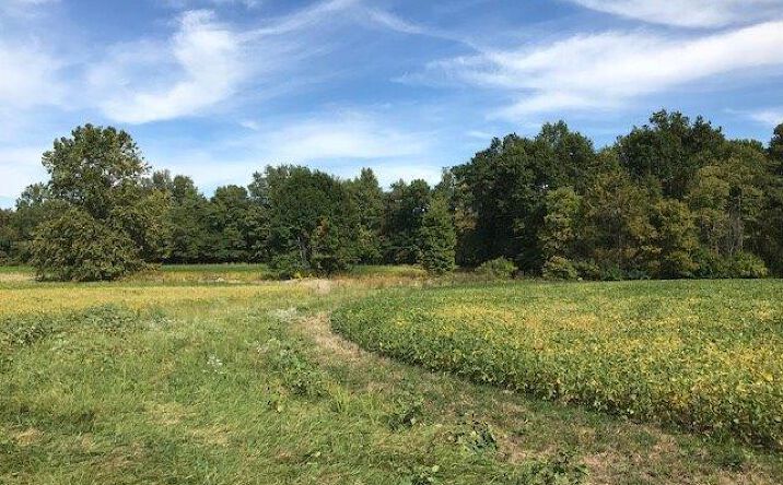 15ac Ireton Trees Road, Washington Twp