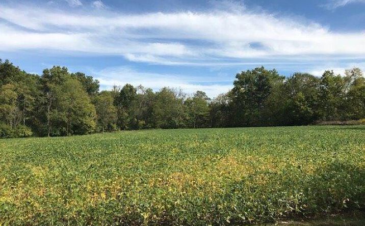 19ac Ireton Trees Road, Washington Twp