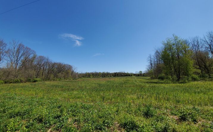 Adams Road, Liberty Twp