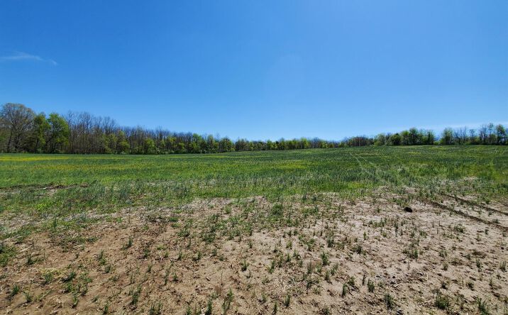 Adams Road, Liberty Twp