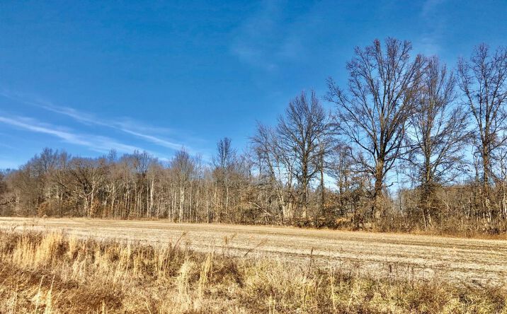 Meurer Field Boulevard, Washington Twp