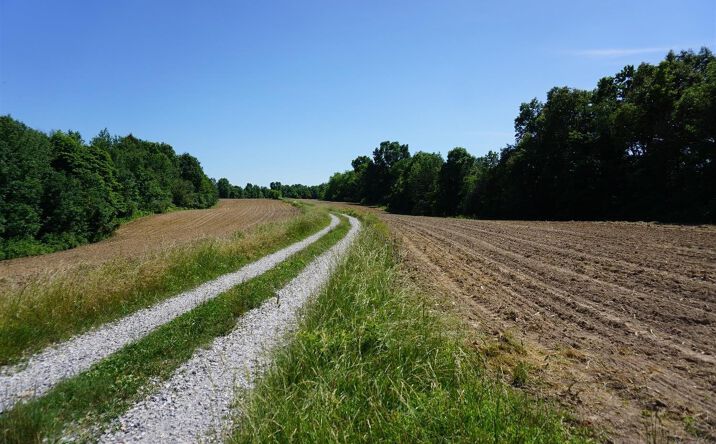 Chesterville Road, Moores Hill