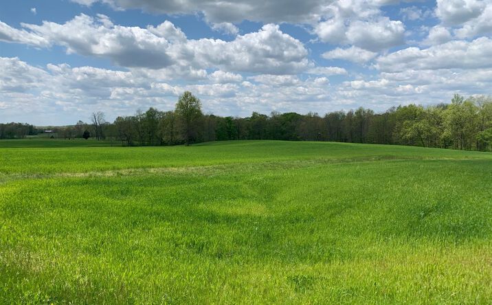 Middleboro Road 11A, Washington Twp
