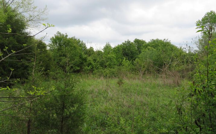 Fort Hill Road, Brushcreek Twp