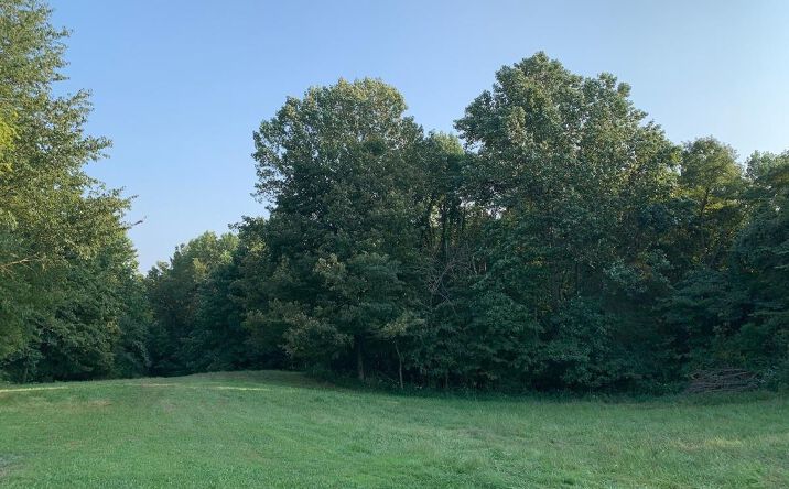 St Marys Road, Brookville