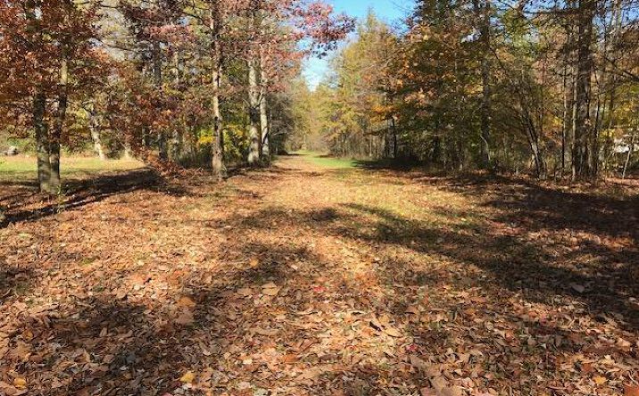 Louderback Road, Jackson Twp