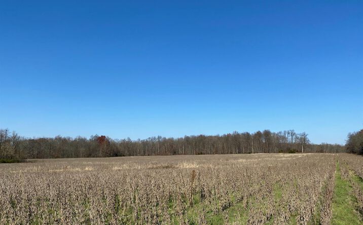 Lawler Road, Liberty Twp