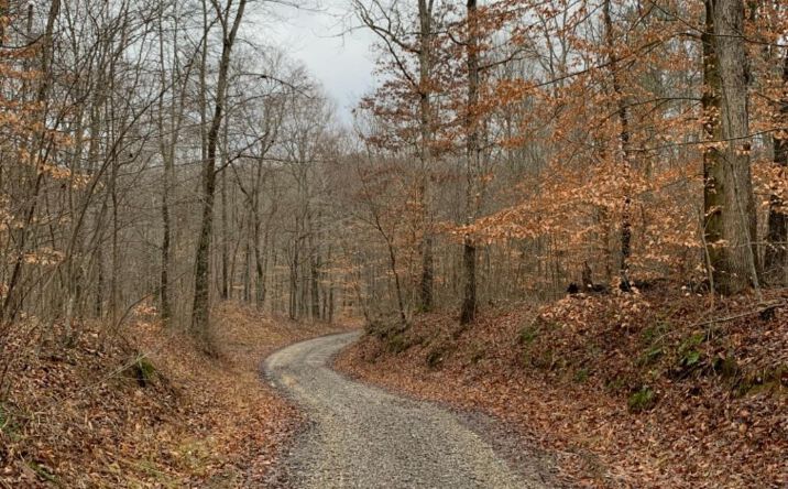 Bray Hollow Road, Jackson Twp
