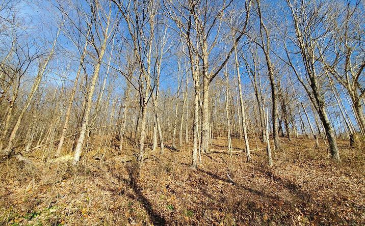 Mutton Run Road, Jackson Twp