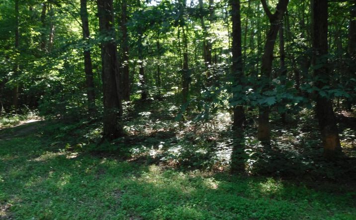 Milburn Road, Brushcreek Twp