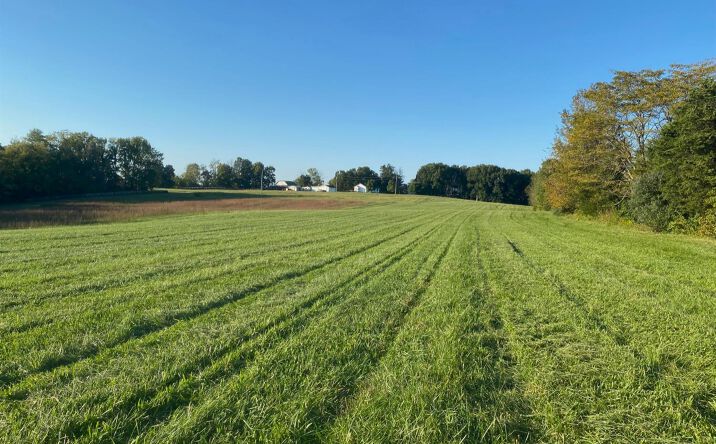 Louden Road, Bratton Twp