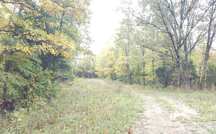 Cutter Road, Dillsboro