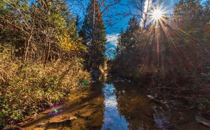 Cline Road, Brushcreek Twp