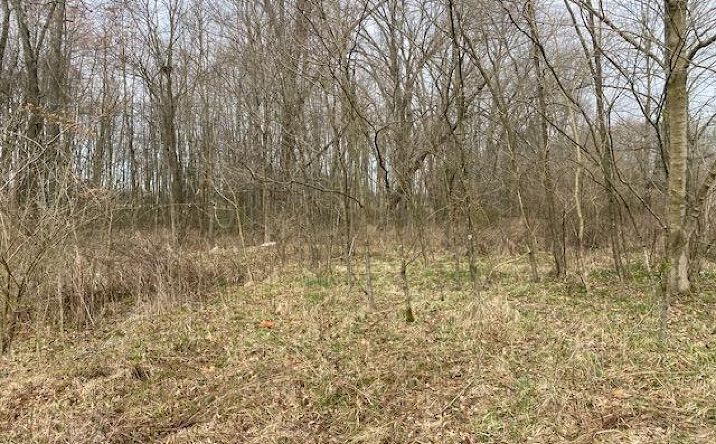 11ac Steiman Road Lot 3, Washington Twp