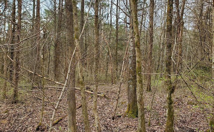 Coss Road, Jackson Twp