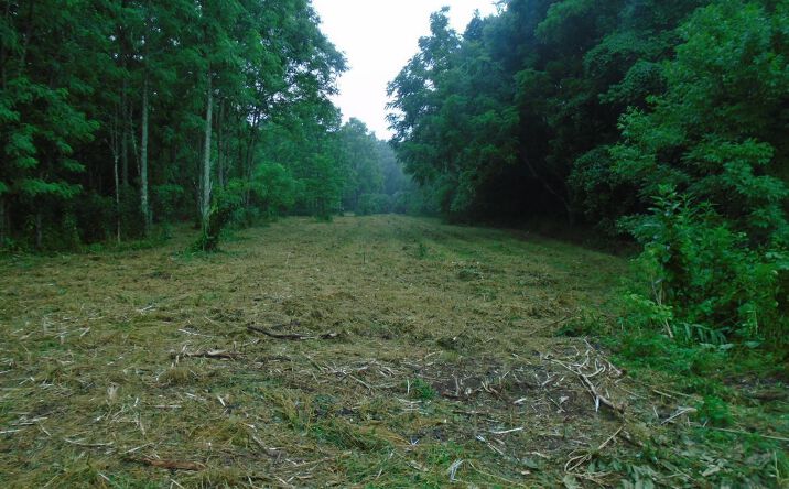 Ripley Road, Union Twp
