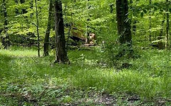 Shiloh Road 39, Wayne Twp