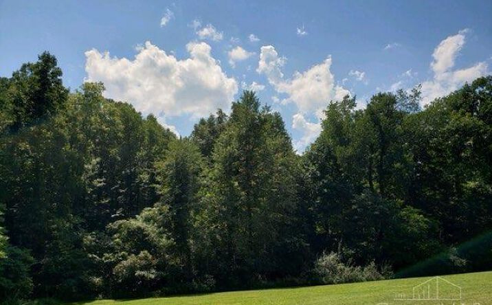 Sunshine Ridge Road, Blue Creek