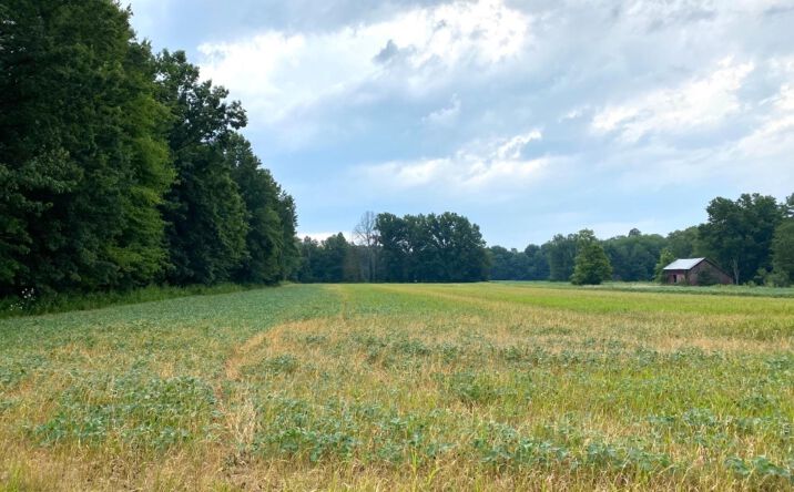 Gum Grove Road, Washington Twp