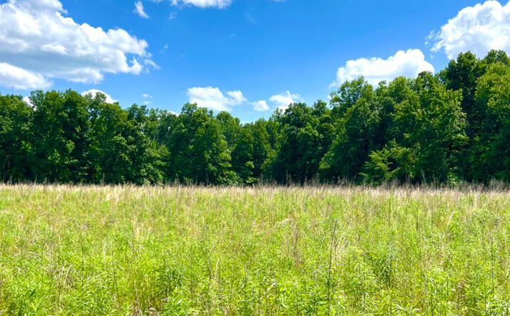 Swope Road, Bethel