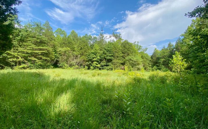 Hamilton Road, Brushcreek Twp