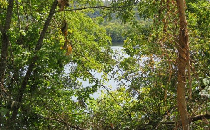 Pictures of Land property located at Tract 3 US Rt 52, Manchester, OH 45144 for sales - image #1