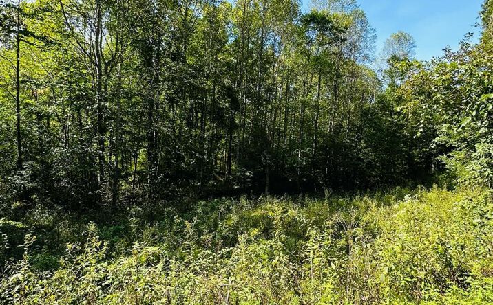 Keesee Road, Vinton