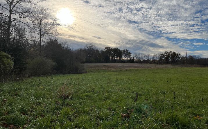 Collins Riley Road, Blanchester