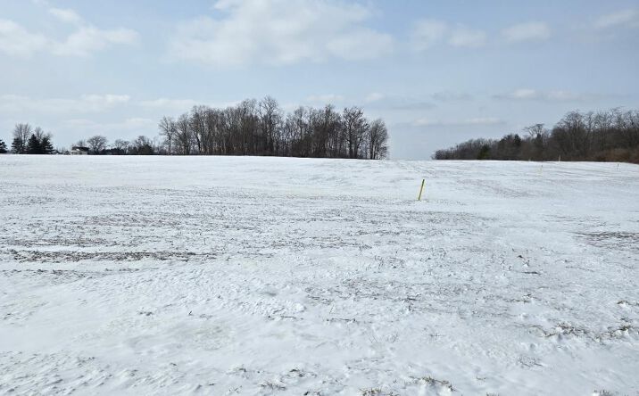 Pictures of Land property located at N US Rt 68, Liberty Twp, OH 45177 for sales - image #1