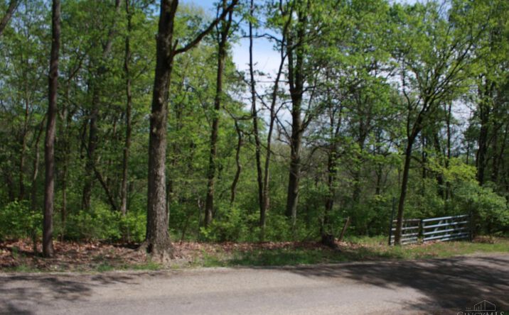 Kentucky Avenue, West Harrison