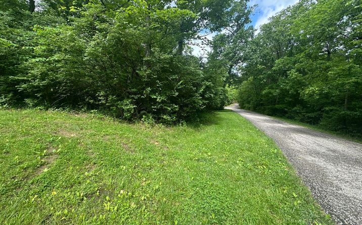 Grants Run Road, Washington Twp