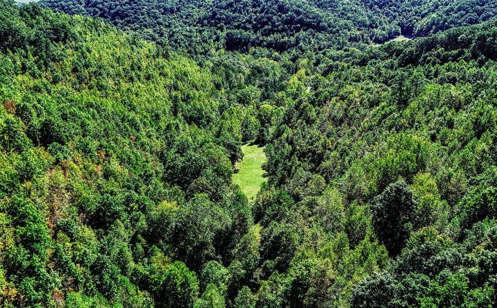 Shepherd Fork Road C, Washington Twp